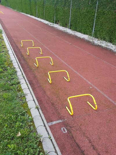 laufkurs2